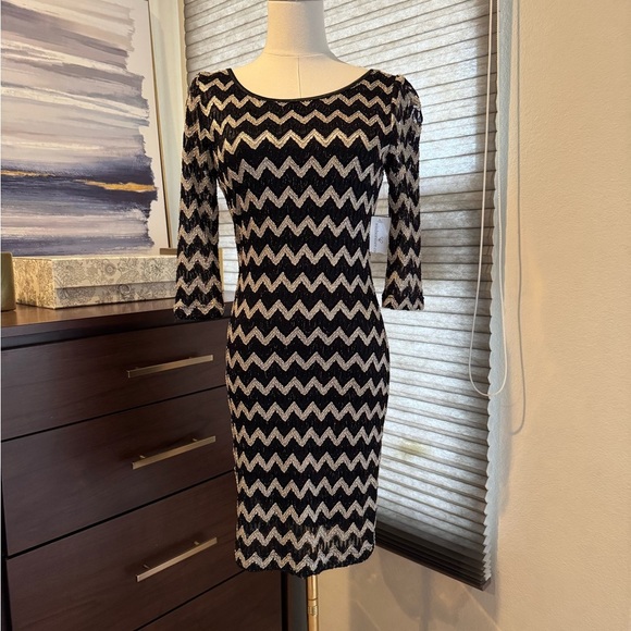 NWT Woman's Windsor Chevy Striped Dress. Size Med - Picture 1 of 6
